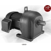 GM-DP 2.2KW 4P