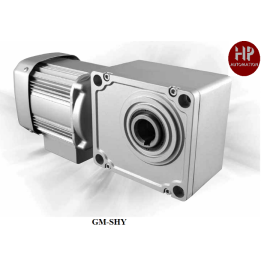 GM-SHYF-RH 0.1KW